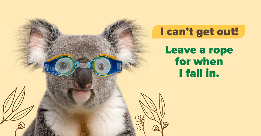 A koala with goggles on telling people to put a rope in their pool so koalas can escape if they fall in